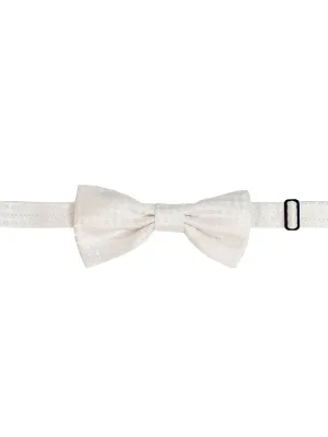 Dolce & Gabbana Hook Closure Bow Tie